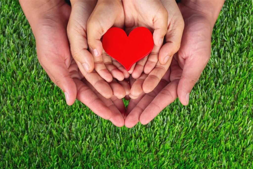 Image of a family’s hands holding a heart shape